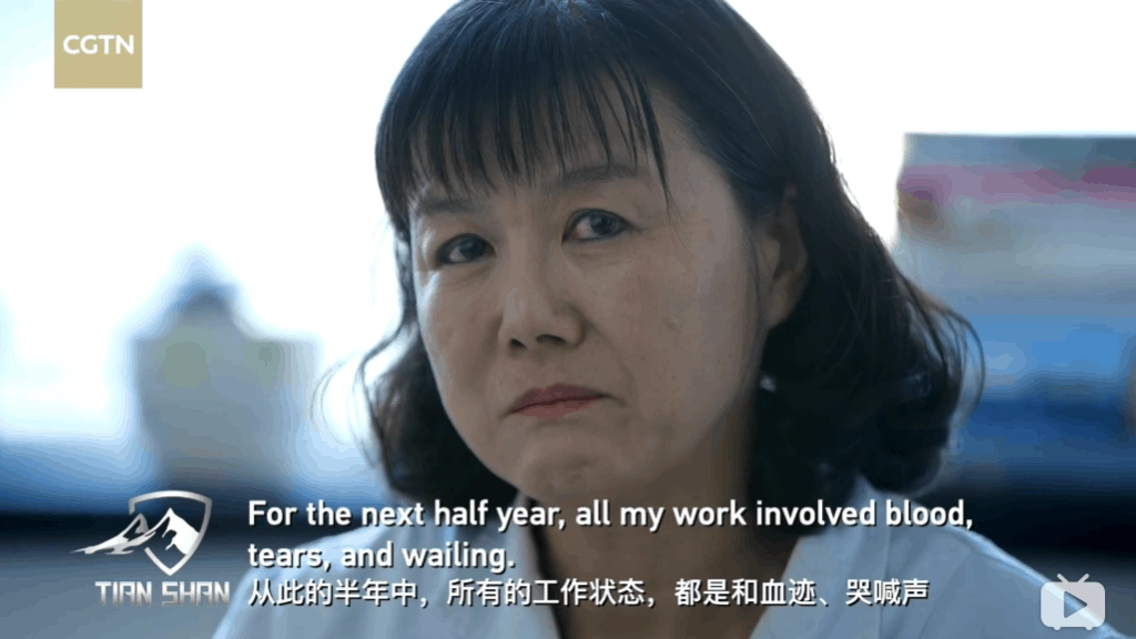 CGTN纪录片《巍巍天山——中国新疆反恐记忆》