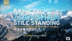 CGTN纪录片《巍巍天山——中国新疆反恐记忆》