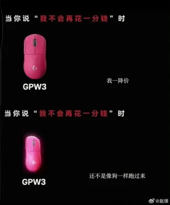 罗技中国广告语侮辱消费者